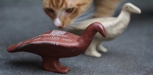 Aethelred inspects the bird rattles